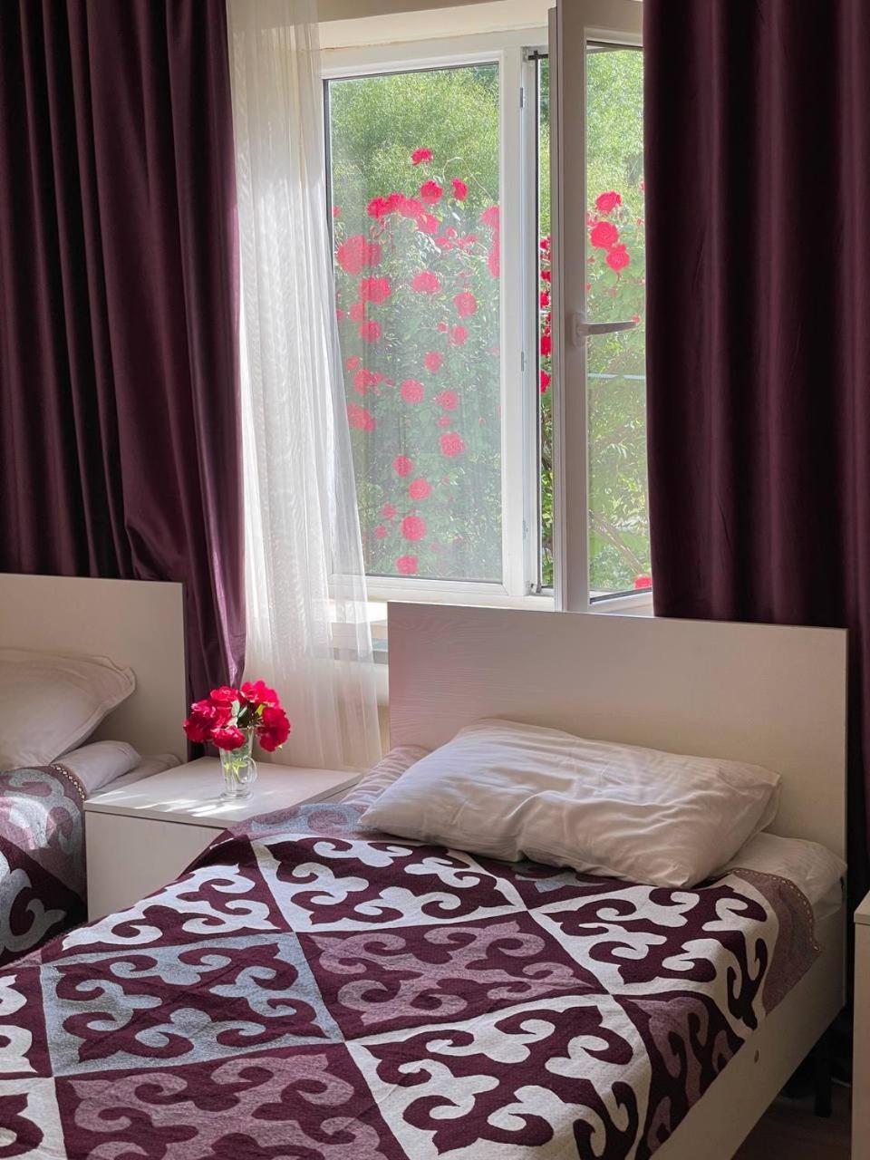By River 246 كاراكول المظهر الخارجي الصورة